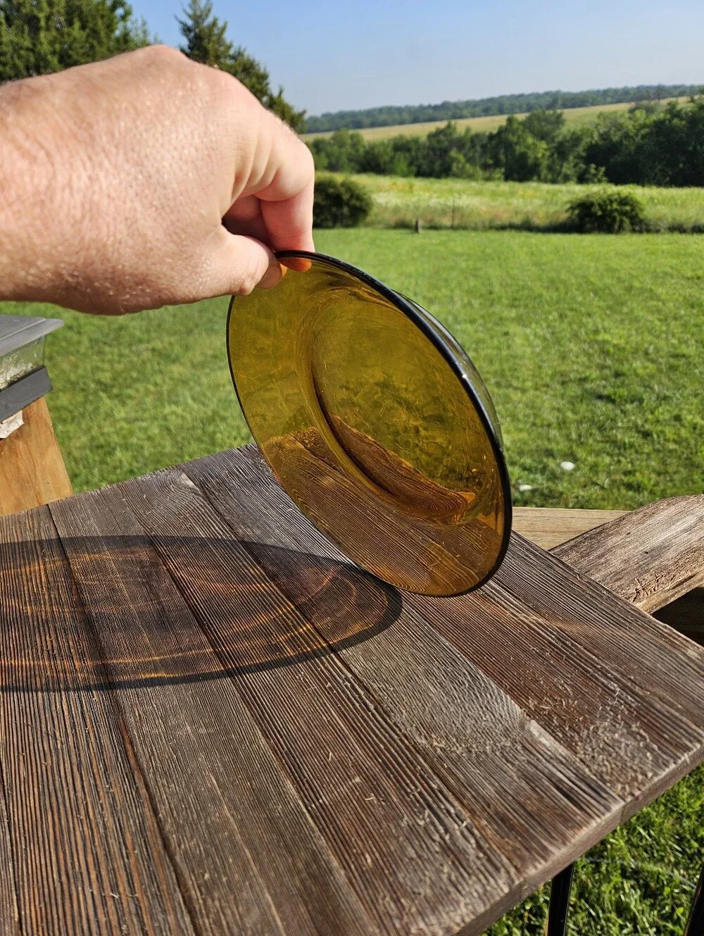 Amber glass plate with black rim  #amber